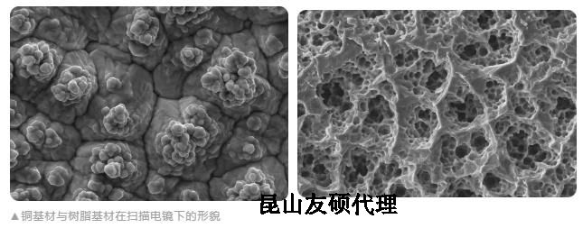 垫江蔡司垫江扫描电镜