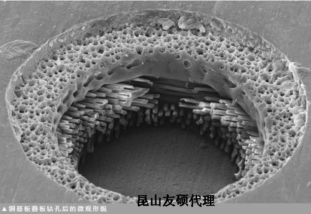 垫江蔡司垫江扫描电镜
